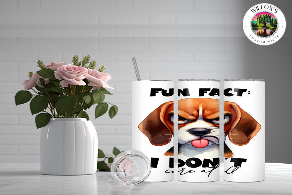 Amusing Animals - Fun Fact