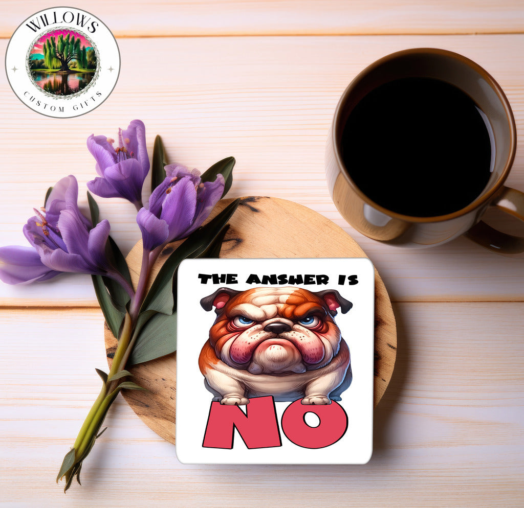 Amusing Animals - The Answer Is No